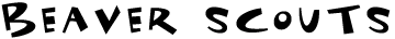 bs-header.gif (1899 bytes)