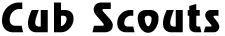 cs-header.gif (1186 bytes)