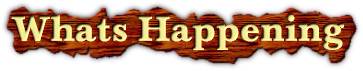 whats happening.jpg (7075 bytes)